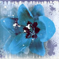 Tulip Fresco (blue) by Erin Clark - various sizes