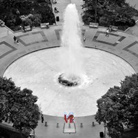 Love from Above (b/w) Fine Art Print