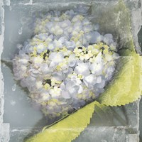 Antique Bloom Fine Art Print