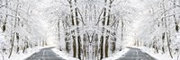 Two Roads Diverged in a Snowy Wood Fine Art Print