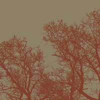 Cinnamon Tree I Framed Print