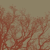 Cinnamon Tree II Framed Print