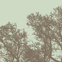 Winter Tree I Framed Print