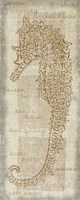 Sea Horse Fine Art Print