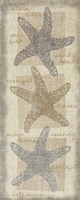 Star Fish Fine Art Print