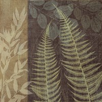 Ferns I Fine Art Print