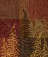Ferns II Fine Art Print