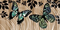 Butterfly Patchwork Fine Art Print