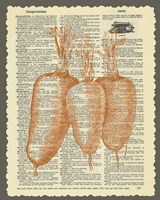 Carrots Framed Print