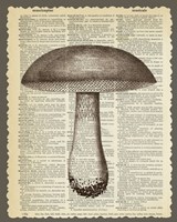 Mushroom by Erin Clark - various sizes