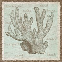 Coral Fine Art Print