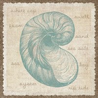 Oyster Fine Art Print