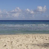 Beach IV Framed Print