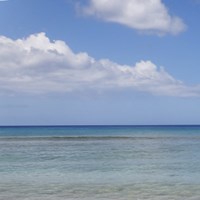 Beach VII Fine Art Print