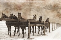 6 Faces Vintage Framed Print