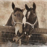 Trio Vintage Fine Art Print