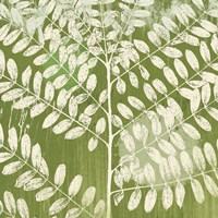 Jade Foliage Fine Art Print