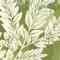 Sage Foliage Fine Art Print