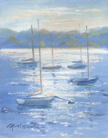 Sunlight Sailboats Fine Art Print