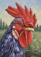 Blue Rooster Fine Art Print