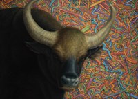 Bull Fine Art Print