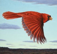 Flight Fine Art Print