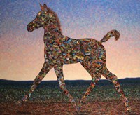 Foal Spirit Fine Art Print