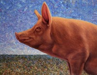Free Range Pig Fine Art Print