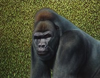 Gorilla With A Hedge Fine Art Print