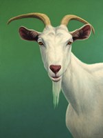 Portrait of A Goat Fine Art Print