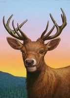 Reddeer Fine Art Print