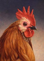 Rooster Fine Art Print