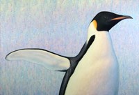 Summertime Fine Art Print