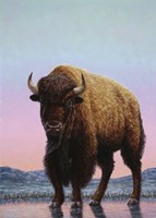 Thin Ice Fine Art Print