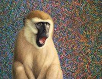Yawn Fine Art Print