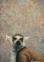 Lemur Fine Art Print