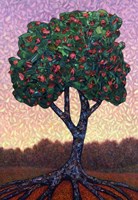 Apple Tree Fine Art Print