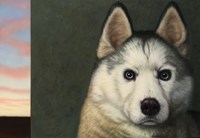 Dog - Nature #9 Fine Art Print