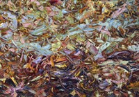 Paint #51 Fine Art Print