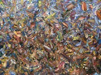 Fragmented Fall Fine Art Print