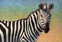 Portrait Of A Zebra Fine Art Print