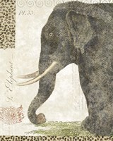 L'Elephant Fine Art Print
