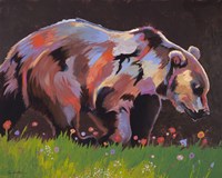 Copper Bear Fine Art Print