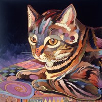 Nickels Framed Print