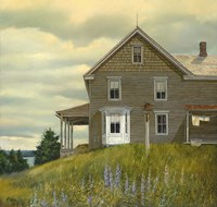 Door yard Lupines Fine Art Print