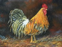 Harpo Fine Art Print