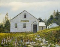 Lupines At The School Fine Art Print