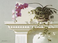 Orchid On Mantle Fine Art Print