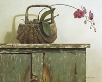 Orchid Basket Fine Art Print