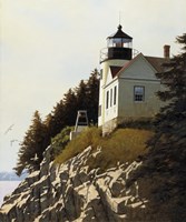 Cliff Fine Art Print